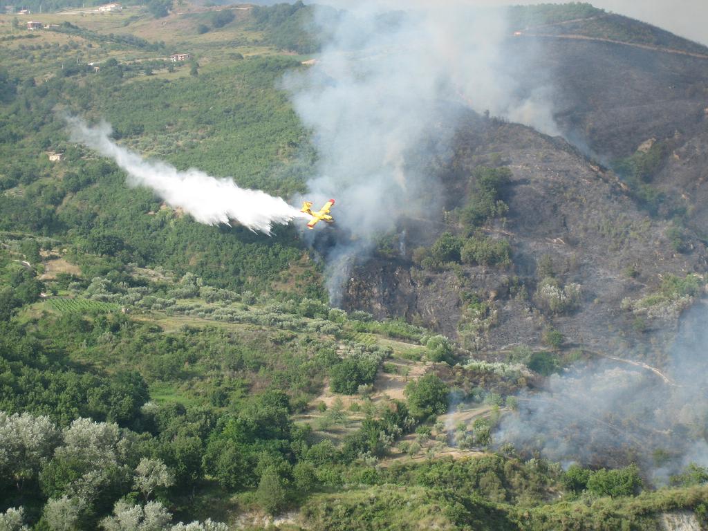 incendio aiello-lago 21 luglio 4.JPG